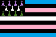 bzh_trans