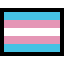 flag_white_transgender