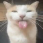 tonguecat