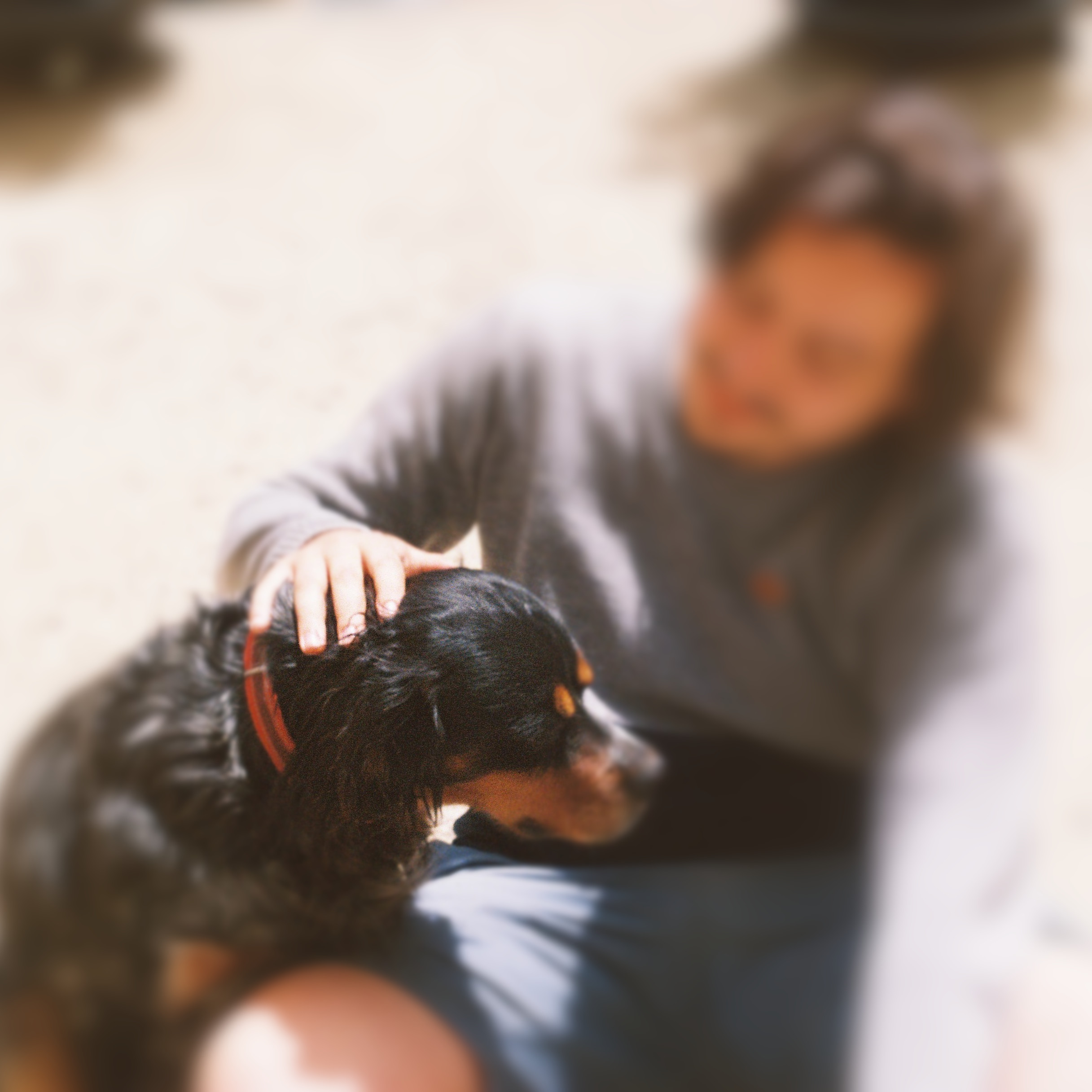 tgoldoin@plume.deuxfleurs.fr