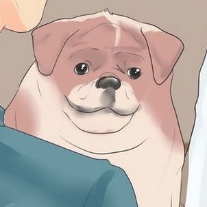 wikihow@mastodon.social