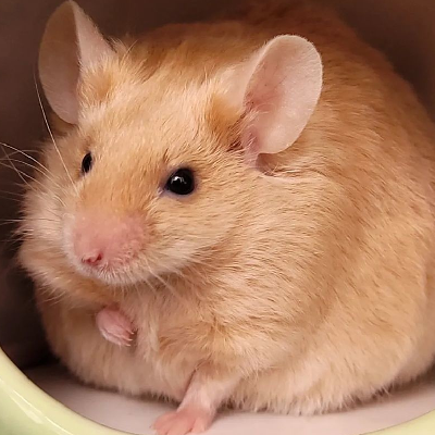 behold3r@social.mootech.eu