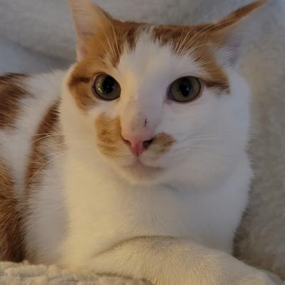 arsdeficiendi@rivals.space